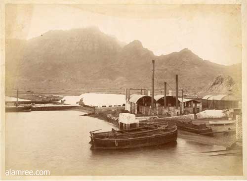 ���� ������ ��� ��� ����