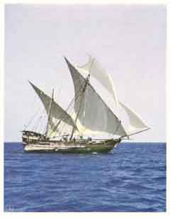 ���� ������ ��� ��� ����