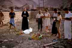 ���� ������ ��� ��� ����