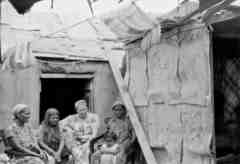 ���� ������ ��� ��� ����