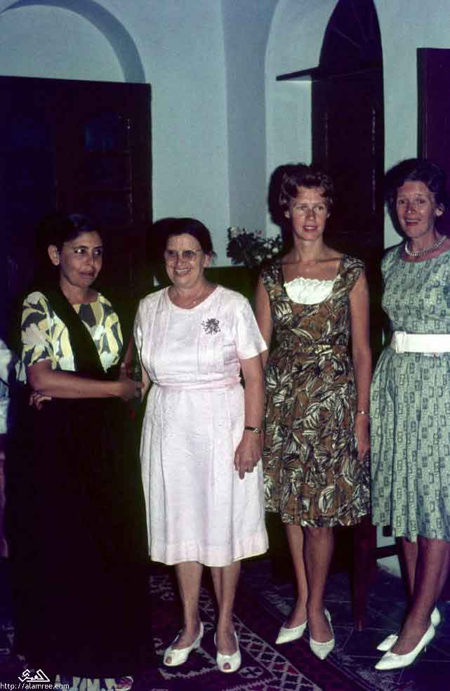 ���� ������ ��� ��� ����