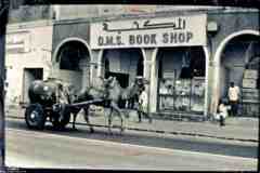 ���� ������ ��� ��� ����