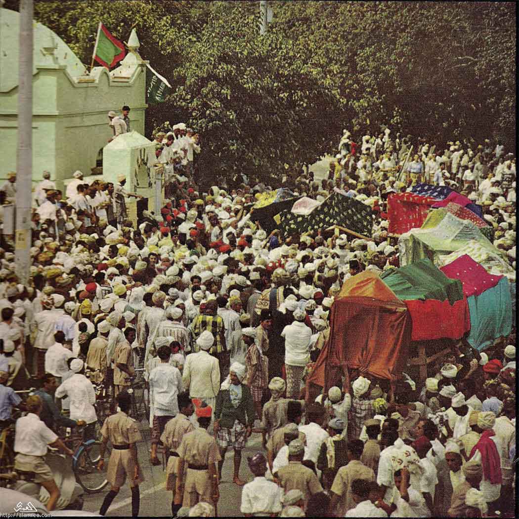 ���� ������ ��� ��� ����