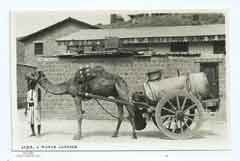 ���� ������ ��� ��� ����