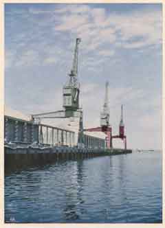 ���� ������ ��� ��� ����