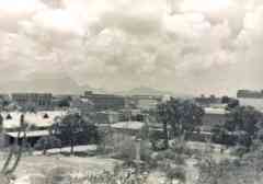 ���� ������ ��� ��� ����