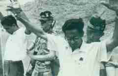 ���� ������ ��� ��� ����