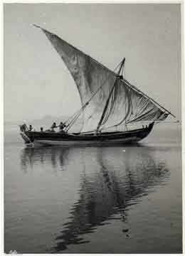 ���� ������ ��� ��� ����