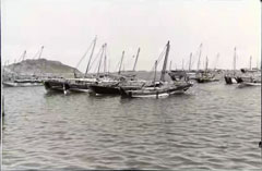 ���� ������ ��� ��� ����