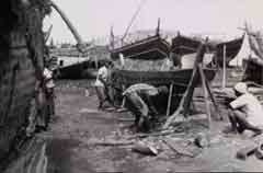 ���� ������ ��� ��� ����