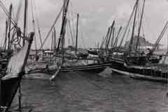 ���� ������ ��� ��� ����