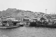 ���� ������ ��� ��� ����