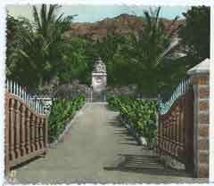 ���� ������ ��� ��� ����