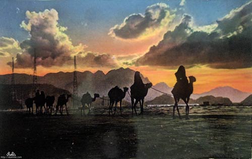 ���� ������ ��� ��� ����