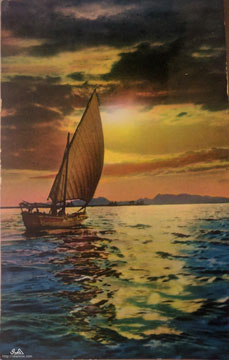 ���� ������ ��� ��� ����