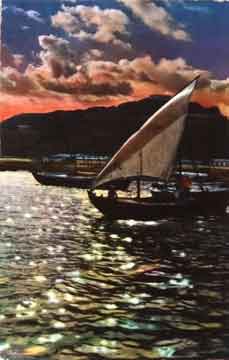 ���� ������ ��� ��� ����