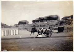 ���� ������ ��� ��� ����