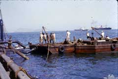 ���� ������ ��� ��� ����