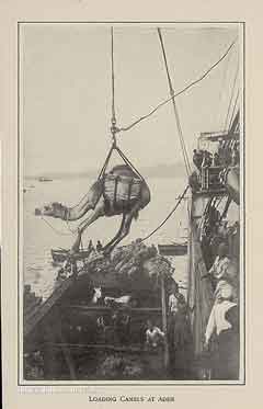 ���� ������ ��� ��� ����