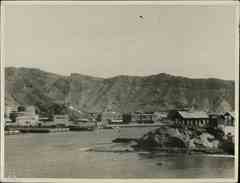 ���� ������ ��� ��� ����