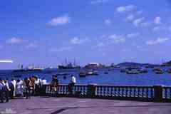 ���� ������ ��� ��� ����