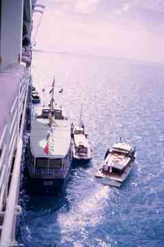 ���� ������ ��� ��� ����