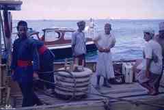 ���� ������ ��� ��� ����