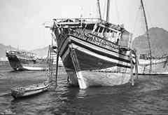 ���� ������ ��� ��� ����