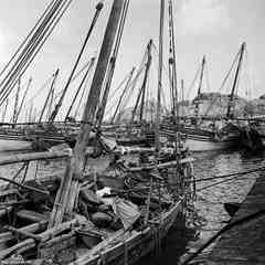 ���� ������ ��� ��� ����