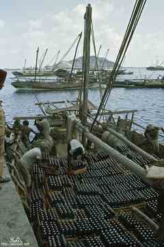 ���� ������ ��� ��� ����