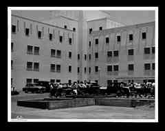 ���� ������ ��� ��� ����