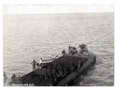 ���� ������ ��� ��� ����