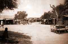 ���� ������ ��� ��� ����