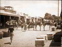 ���� ������ ��� ��� ����