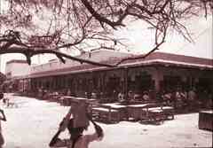 ���� ������ ��� ��� ����