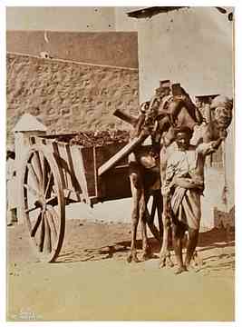 ���� ������ ��� ��� ����