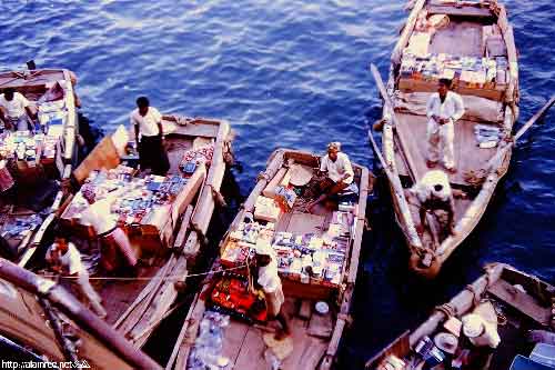 ���� ������ ��� ��� ����