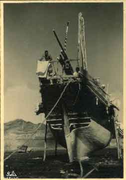 ���� ������ ��� ��� ����