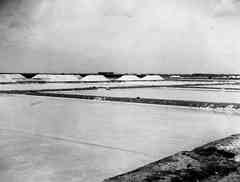 ���� ������ ��� ��� ����