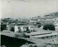 ���� ������ ��� ��� ����