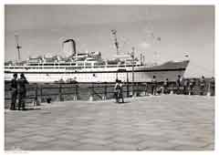 ���� ������ ��� ��� ����