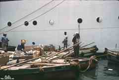 ���� ������ ��� ��� ����