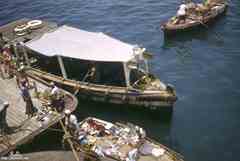 ���� ������ ��� ��� ����