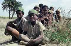 ���� ������ ��� ��� ����