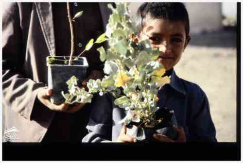 ���� ��� ������ ������ ��� ��� ����