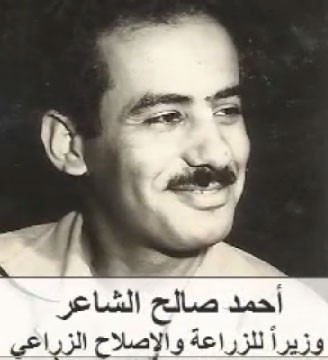 ���� ������ ��� ��� ����