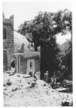 ��� �����  ������ ��������� �������� ���� ���� ��� ���� ������ �� ��� ������� 1954-1956��