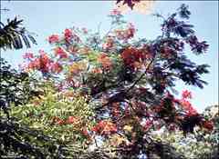 ���� ������ ��� ��� ����