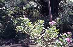 ���� ������ ��� ��� ����