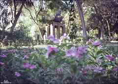 ���� ������ ��� ��� ����